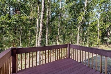 4920 Anniston Cir, Tampa, FL 33647 - photo 4