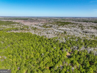 0 Buckeye Rd unit 10449432, Tennille, GA 31089 - photo 7