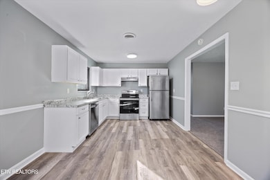 231 River Bottom Dr, Sevierville, TN 37862 - photo 7