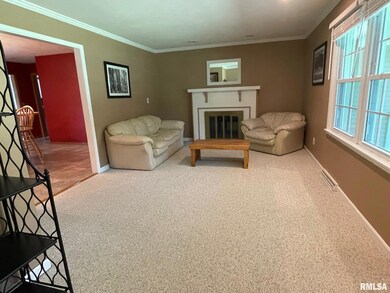 1258 Lynnville Woodson Rd, Jacksonville, IL 62650 - photo 3