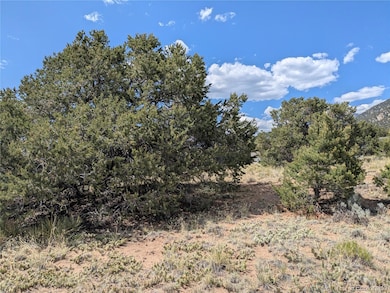 3213 Enchanted Ct, Crestone, CO 81131 - photo 7