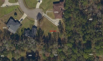 10559 Arnez Rd, Jacksonville, FL 32218 - photo 3