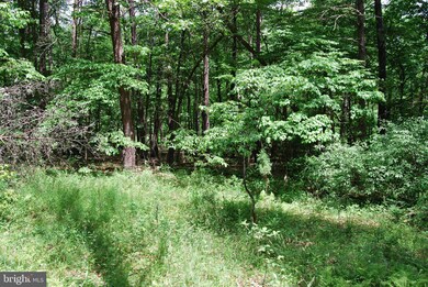 Lot 13 Pleasant Dale Ln, Great Cacapon, WV 25422 - photo 7