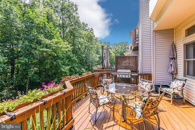 9003 Daum Ct, Springfield, VA 22153 - photo 5