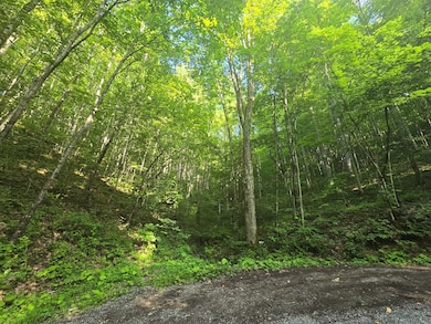 TBD Cliff Rd, North Tazewell, VA 24630 - photo 5