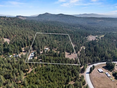 152 Tillacum Trail, Newport, WA 99156 - photo 3