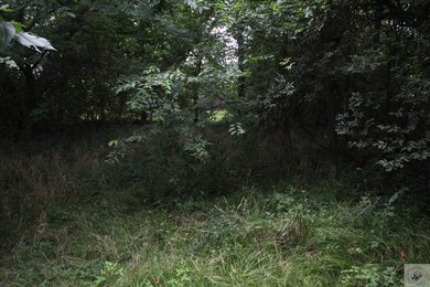 413 E Hayward St, Other, AR 71801 - photo 7