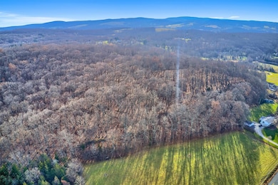 146 Pine Island Turnpike, Warwick, NY 10990 - photo 4