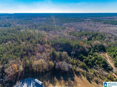 1374 E Highway 280 E unit 1374, Alexander City, AL 35010 - photo 6