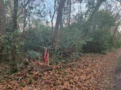 0 S Vine unit 29342199, Tyler, TX 75701 - photo 3