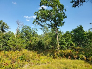 0 S Peacock Trail, Baldwin, MI 49304 - photo 3