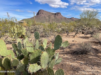 7305 N van Ark Rd unit 1, Tucson, AZ 85743 - photo 2