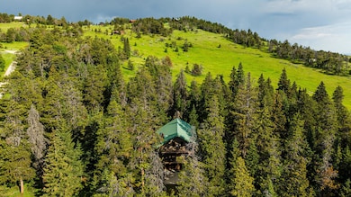 003_dji_20250709083909_0014_d_254