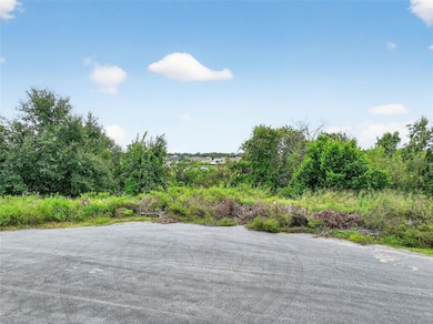 TBD Kanuba Ct, Clermont, FL 34715 - photo 3