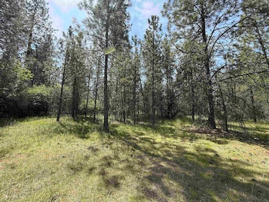 3108 W Thorpe Rd, Spokane, WA 99224 - photo 4