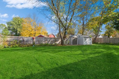 Beautiful Back Yard