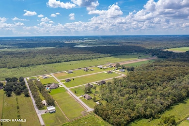 CypressCreek-2