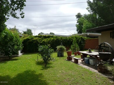 Backyard