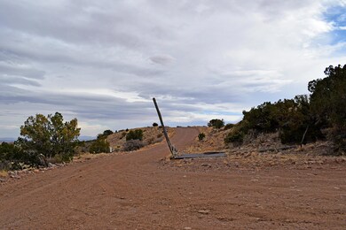 Lot 1A Willow Springs Ranch, San Antonio, NM 87832 - photo 6