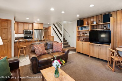 135 Carriage Way unit 22, Snowmass Village, CO 81615 - photo 3