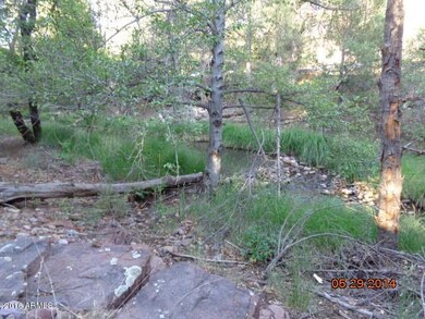 Haigler Creek & rock ledge