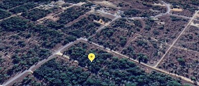 tbd NE 16th Place, Williston, FL 32696 - photo 2