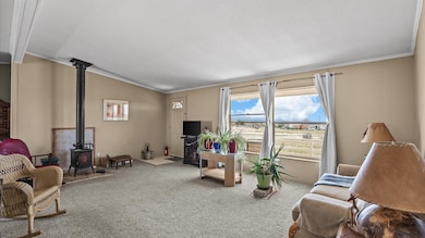 17177 Meadow Dr, Cedaredge, CO 81413 - photo 7