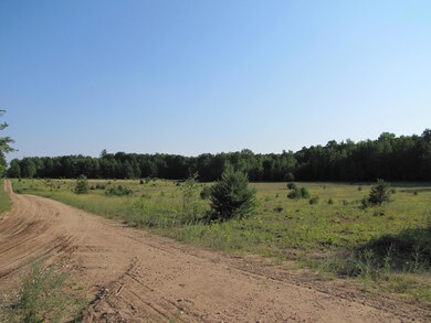 2012-07 MapleForest (1)