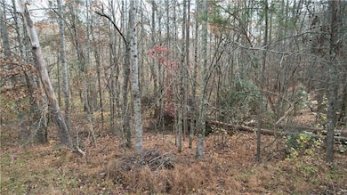 0000 Blackburn Tract 3a Rd, Dawsonville, GA 30534 - photo 5