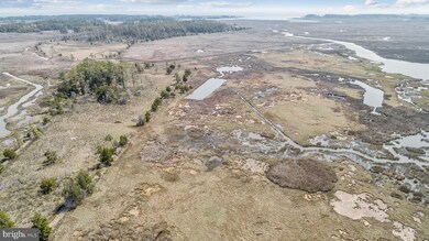 1806 Crocheron Rd, Toddville, MD 21672 - photo 7