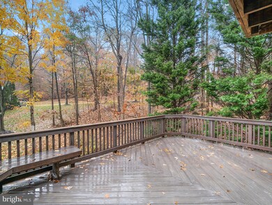 9000 Daum Ct, Springfield, VA 22153 - photo 5