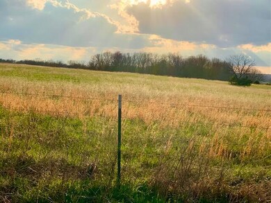 New barb wire fence
