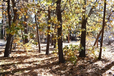 294 Pine Ln, Big Bear, CA 92314 - photo 4