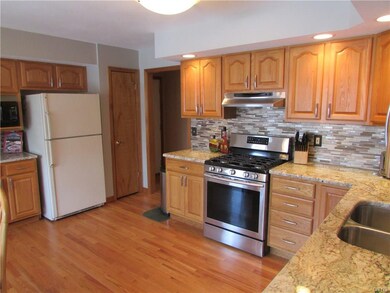 Kitchen cabinets and pantry