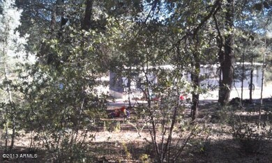 IMAG0316