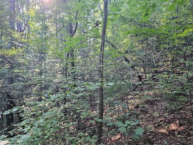 0 Bates Dr unit 418359, Ellijay, GA 30540 - photo 7