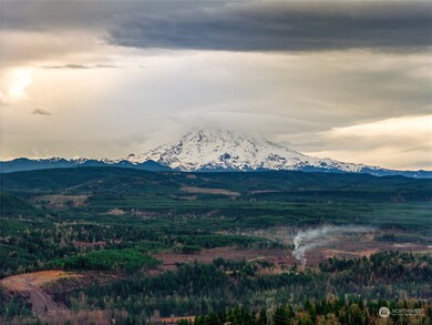 0 XX Country Dr E, Graham, WA 98338 - photo 7