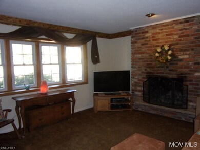 wood burning fireplace