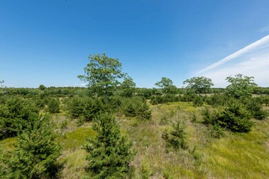34 Paddock Road (Lot#15), Oak Bluffs, MA 02557 - photo 4