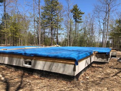 84 Deer Run Rd unit 56, East Wakefield, NH 03830 - photo 5