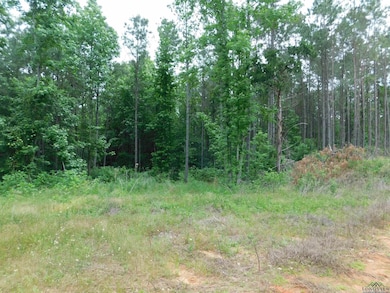 View of landscape featuring a view of trees
