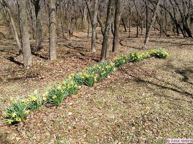 210 E 131st St S, Jenks, OK 74037 - photo 5