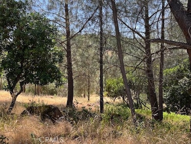 10353 Walnut Way, Kelseyville, CA 95451 - photo 2