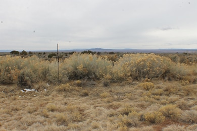 Lot 14 Cavalry Camp Rd, Arroyo Seco, NM 87529 - photo 3