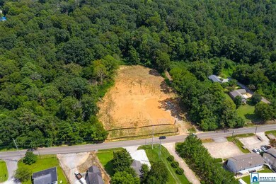 2225 Old Springville Rd unit lot 4-6, Center Point, AL 35215 - photo 2