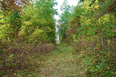 21.8 Acres Minnesota 371, Brainerd, MN 56401 - photo 6