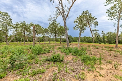 1126 Abel Rd, New Ulm, TX 78950 - photo 5