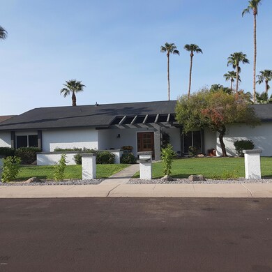 Large grass yard