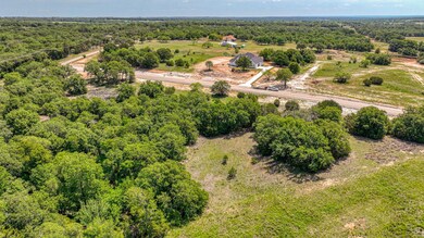 Lot 18 Aslan Rd, Poolville, TX 76487 - photo 4
