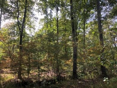 59.65 Ac White Rock Rd, Lincolnton, GA 30817 - photo 4